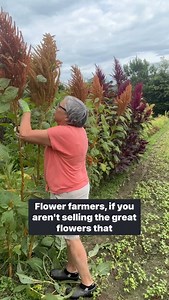 16K views · 5.5K reactions | Free masterclass: “Where to Sell Your...