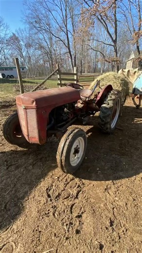 Ferguson to30 setting out some hay! #beefcattle #horse #farming #fergusontractor
