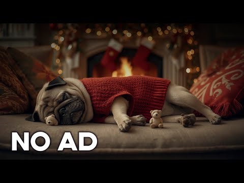 Relaxing Dog Music 🔥🔥 12 Hours to Stop Barking, Calm Stress & Sleep Better