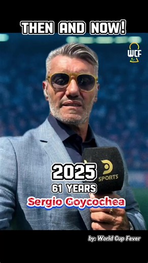 Argentina's Journey in the 1990 FIFA World Cup