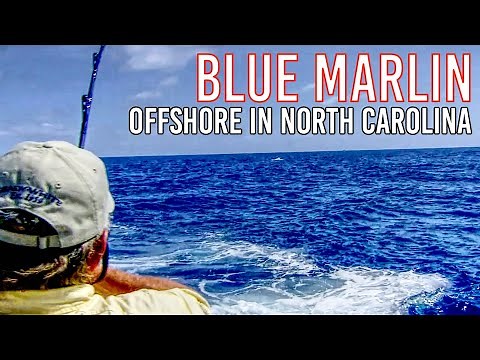 Epic Blue Marlin Fishing Adventure - Offshore Fishing in North Carolina