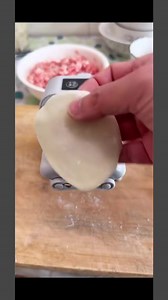 Useful dumpling machine review | The Idea King