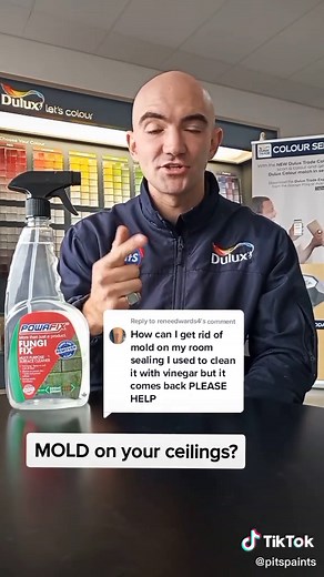 How to Remove Mold from Ceiling | Step-by-Step Guide