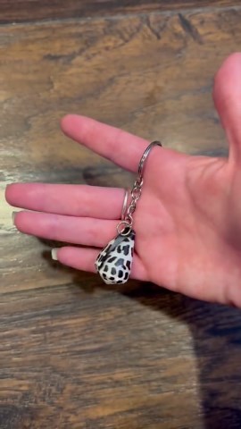 Hebrew Cone Shell Keychain - Etsy