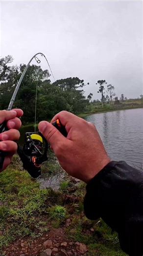 Fisgada de black bass na Serra Gaúcha! 🎣#shorts