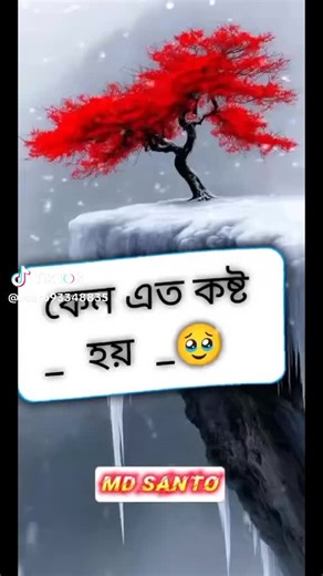 JiMJ+S+ J+M on TikTok