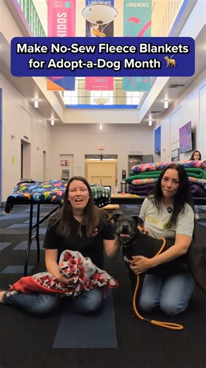 In celebration of Adopt-A-Dog Month, the Library District has partnered with Nevada SPCA Life-Saving Shelter for a special Warm Paws event at Clark County Library on Saturday, October 4, from 3 p.m. to 5 p.m.! 🐶💛 🧵 Make no-sew fleece blankets for shelter dogs 🐾 Spend time with adoptable pups 🦴 Bring new toys & treats to donate Details:🗓️ https://bit.ly/3WaYk9m #WeAreTheLibraryDistrict #FreeToBeInspired | Las Vegas-Clark County Library District