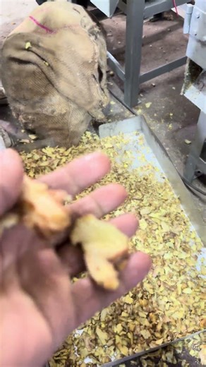 Multipurpose ginger slice cutter machine 📲 +91 89823 25000