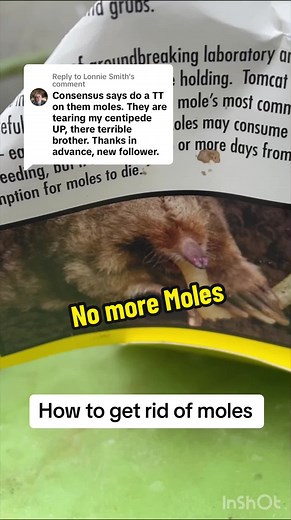 Replying to @Lonnie Smith I use 2 products to get rid of moles. 1 kills grubs, the other the moles. #thomasfamilylandscaping #weedcontrol #fertlization #turfgrass #turftok #lawntok #lawncare