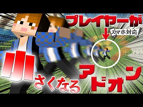 【マイクラアドオン】プレイヤーの大きさが極小になるチートアドオン【マイクラBE/PE】