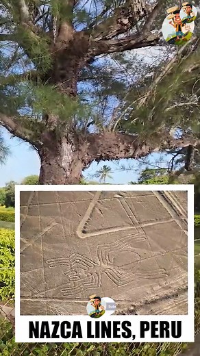 aliens இருக்க இல்லையா ? அங்க போய்தான் பாக்கணும் - சமோவா | Tamil Trekker