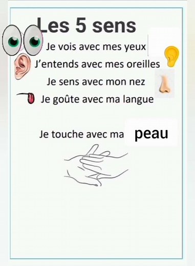 les cinq sens#sens_et_organes_des_sens#