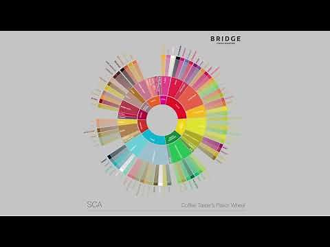 What is the coffee taster's flavour wheel?