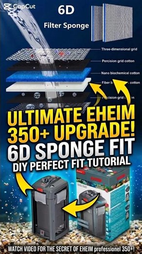 Eheim 4+ Filter Hack: 6D Sponge Upgrade! (Part 2) 🛠️🧽 #shorts