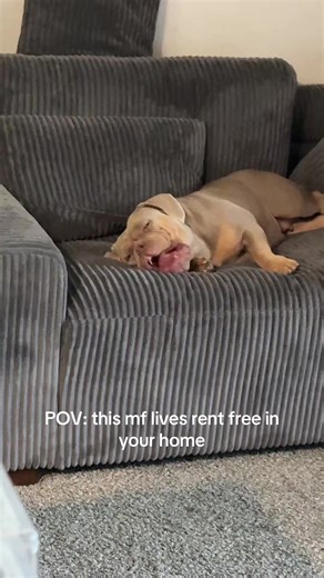She so cute thooo look at her😭❤️ #fyp #love #viral | Rentfree