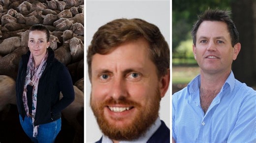 Live export leaders keep industry thriving