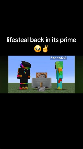 Spokes exploit shenanigans was peak lifesteal #wormhole #lifesteal #spokeishere #parrot #minecraft