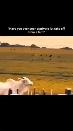 Wealth | private jet taking off near a farm creates a striking contrast between luxury aviation and quiet rural life. As the jet lines up on the... | Instagram