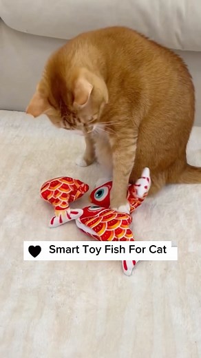 PlayTailCo on Instagram: "🐾🐟 Dive into playtime with our new smart toy fish for cats! 🌊🐱 Watch as your feline friend pounces and chases this realistic swimming fish toy, designed to keep them entertained and active. It’s the purr-fect way to treat your kitty to endless fun! 😻 #CatToys #SmartFishToy #PlaytimeFun"