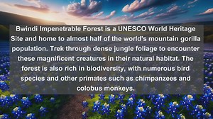 Explore Ugandas Stunning Landscapes: Top 10 Must-Visit Destinations!