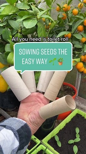 #howto make a recycled seed tray for your plants 🌱🪴 #plants #planttok #reuse #diy #seeds #lifehack #eco