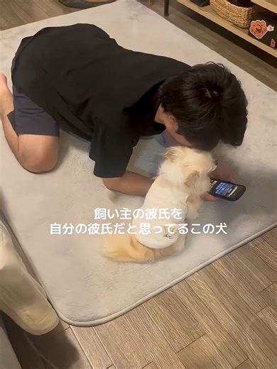 彼氏を横取りする犬のかわいさ