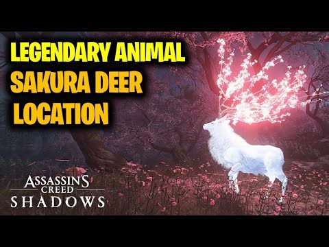 Legendary Animal Sakura Deer Location | Assassin's Creed Shadows