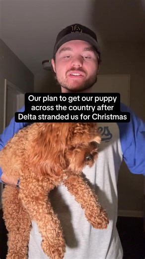 Flying with Our Cavapoo: Tips for a Smooth Journey