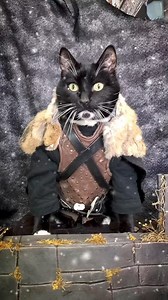 8.9K views · 413 reactions | "You meow nothing Jon Snow..." #GameOfThrones | Cat Cosplay | Facebook