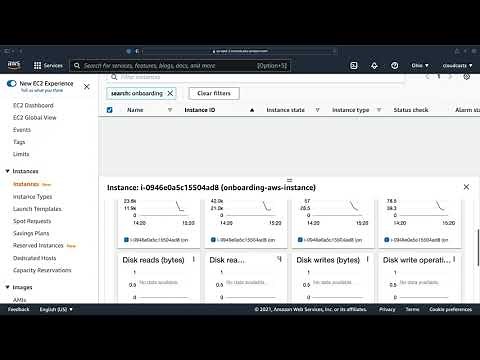 Monitoring an EC2 Instance - CPU Credits, Disk IOPS, and more