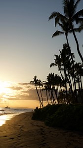 Where to find Hawaii’s best beaches 👇🌴 Okay, we all know Hawaiʻi is home to some of the most beautiful beaches in the world… but which ones are actually worth it—and which ones can you skip? That’s where we come in 🌊 Follow @matchmadecouple for content like this Hawaiʻi’s must-do experiences 🌺 📌 Save this mini beach guide so you don’t miss the best spots on your next trip! Across the islands, you’ll find wildly different beach landscapes—but these are a few of our all-time favorites: 💚 Pap