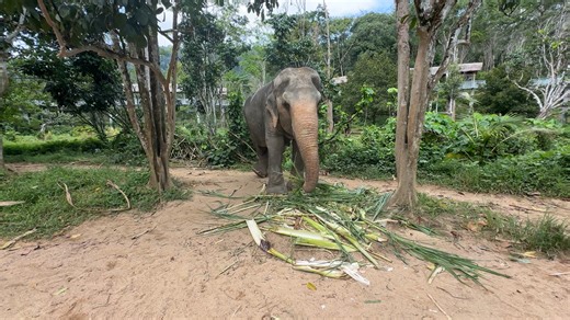 Funk Roberts on Reels