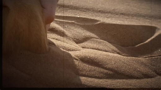 Discover tailor-made safaris in the wildest, most remote places in Africa. Experience meaningful encounters with nature, wildlife and diverse cultures. A leading conservation tourism company that creates unforgettable journeys across 8 African countries. We are Wilderness. | Wilderness | Facebook