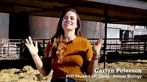 Is methane from cattle production the leading cause of climate change? Hear the real facts about climate change and cattle methane from PhD student, Carlyn Peterson. | Beef. It's What's For Dinner.
