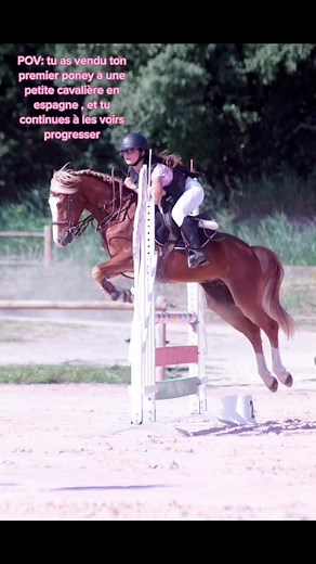 Equestrian Adventures: A Young Rider and Her Pony