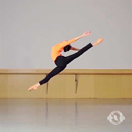 1K views · 21 reactions | Up Close with Classical Chinese...