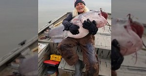 Look at this 88-pound monster catfish a woman caught in Tennessee
