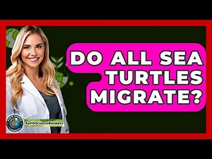 Do All Sea Turtles Migrate? - Earth Science Answers