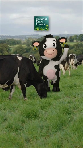 Summer’s here and Irish dairy cows are at their peak, grazing on green pastures and cared for by farmers  Quality milk, healthy cows, and buzzing nature — that’s Irish dairy at its best 拏 #IrishDairy #FromTheGroundUp #MillyTheCow | National Dairy Council | Facebook