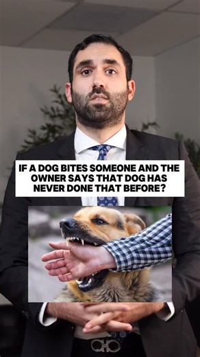 Kourosh Pishnamaz on Instagram: "What if a dog bites someone and the owner says that dog has never done that before?"