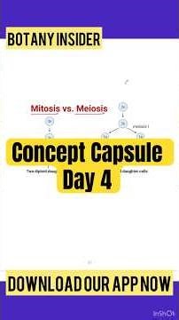 Mitosis Vs Meiosis - in 60 Seconds ! Day 4 Concept Capsule