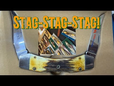 Do You Like Stag?? #caseknife #knifedoctor #knifereview #vintageknife #edcknife #knifecollection