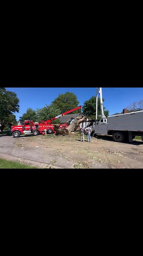 Southern Tree Care on Reels