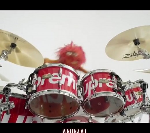 Best Drummer? - Animal the Muppet Drummer | Energetic Drum Solo