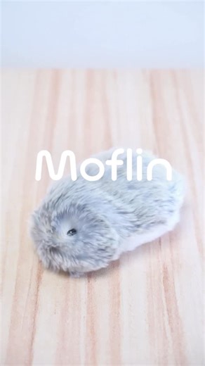 【公式】 Moflin（モフリン）｜ 感情が育つAIペット | Moflinってなぁに？ 最近、Moflinを知ってくださる方が増えてきました✨ 初めて知る方へ、改めてモフリンの紹介をさせてください♪ Moflin（モフリン）はいきもののような心を持ち、 心に元気をくれるバディ。 人とふれあうことで感情が育つAIペット。... | Instagram
