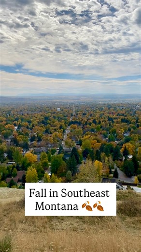 Check out these fall colors in Billings and across Southeast Montana! 🤩🍂🤩🍂 | Montana Discovered