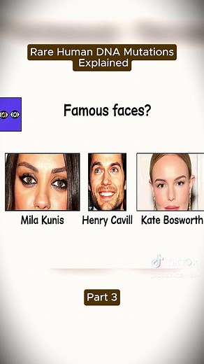 Mystery Man on TikTok