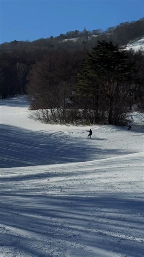Snowboarding Tricks and Tips for Beginners