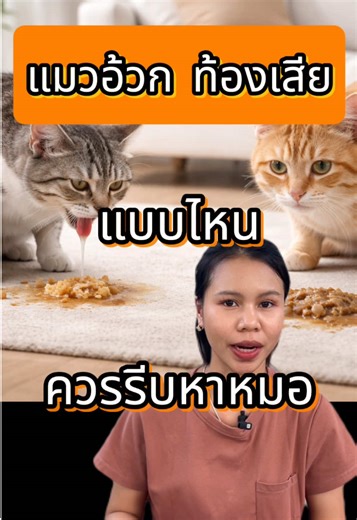 แมวอ้วกท้องเสีย แบบไหน รีบพาหาหมอ #สัตว์เลี้ยงtiktok #รู้จากtiktok #ทาสแมว #ทาสหมา #สัตวแพทย์