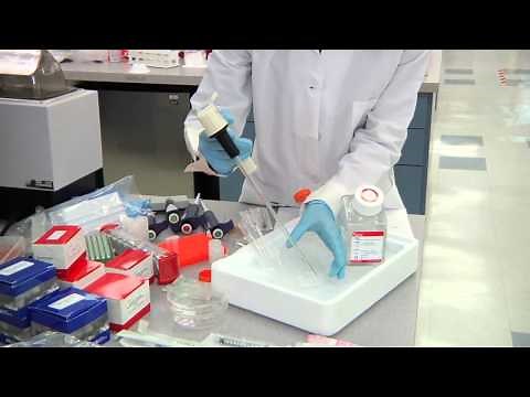 ChIP Optimization: Tissue Processing Tips for ChIP